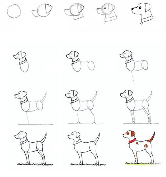 Desenhos de Arte canina