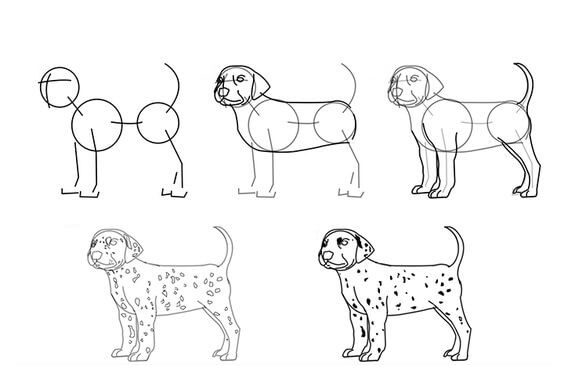 Desenhos de Cachorro Dálmata