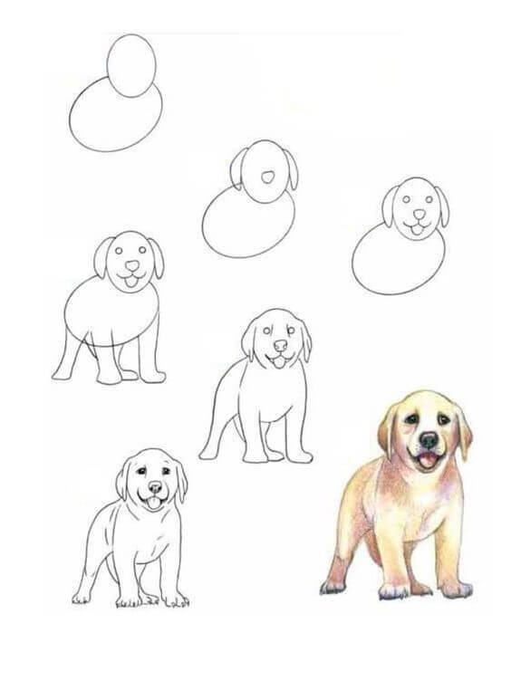 Desenhos de Detalhes do cachorro