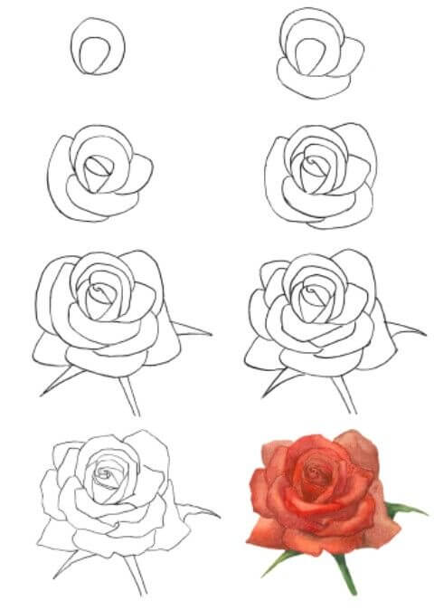 Desenhos de Ideia de rosas (19)