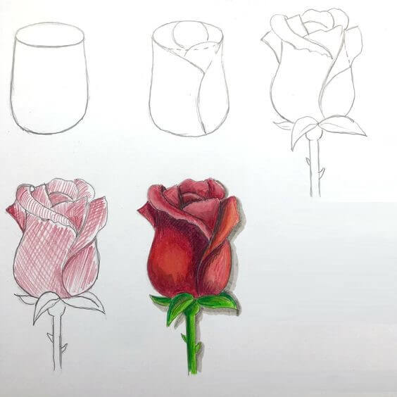 Desenhos de Ideia de rosas (28)