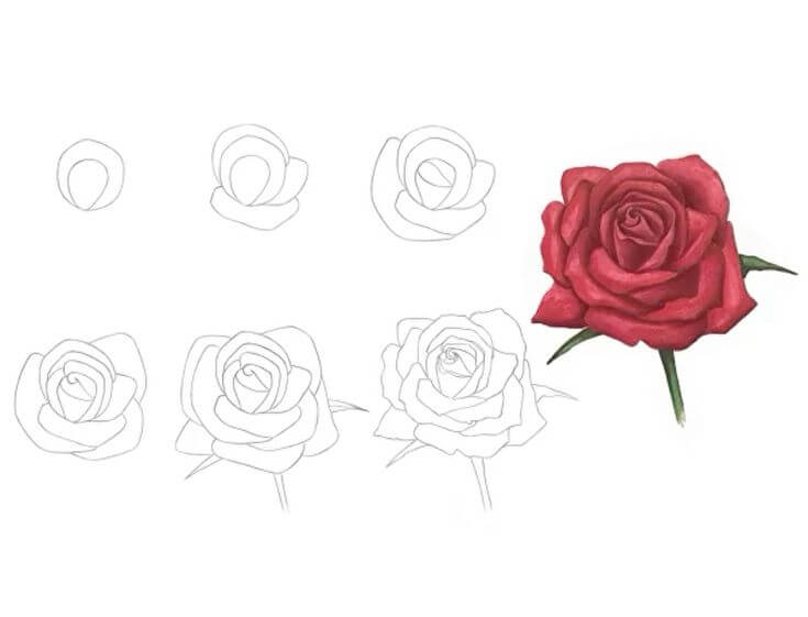 Desenhos de Ideia de rosas (32)