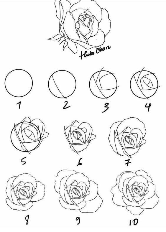 Desenhos de Ideia de rosas (37)