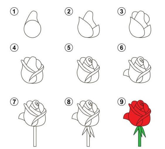 Desenhos de Ideia de rosas (40)