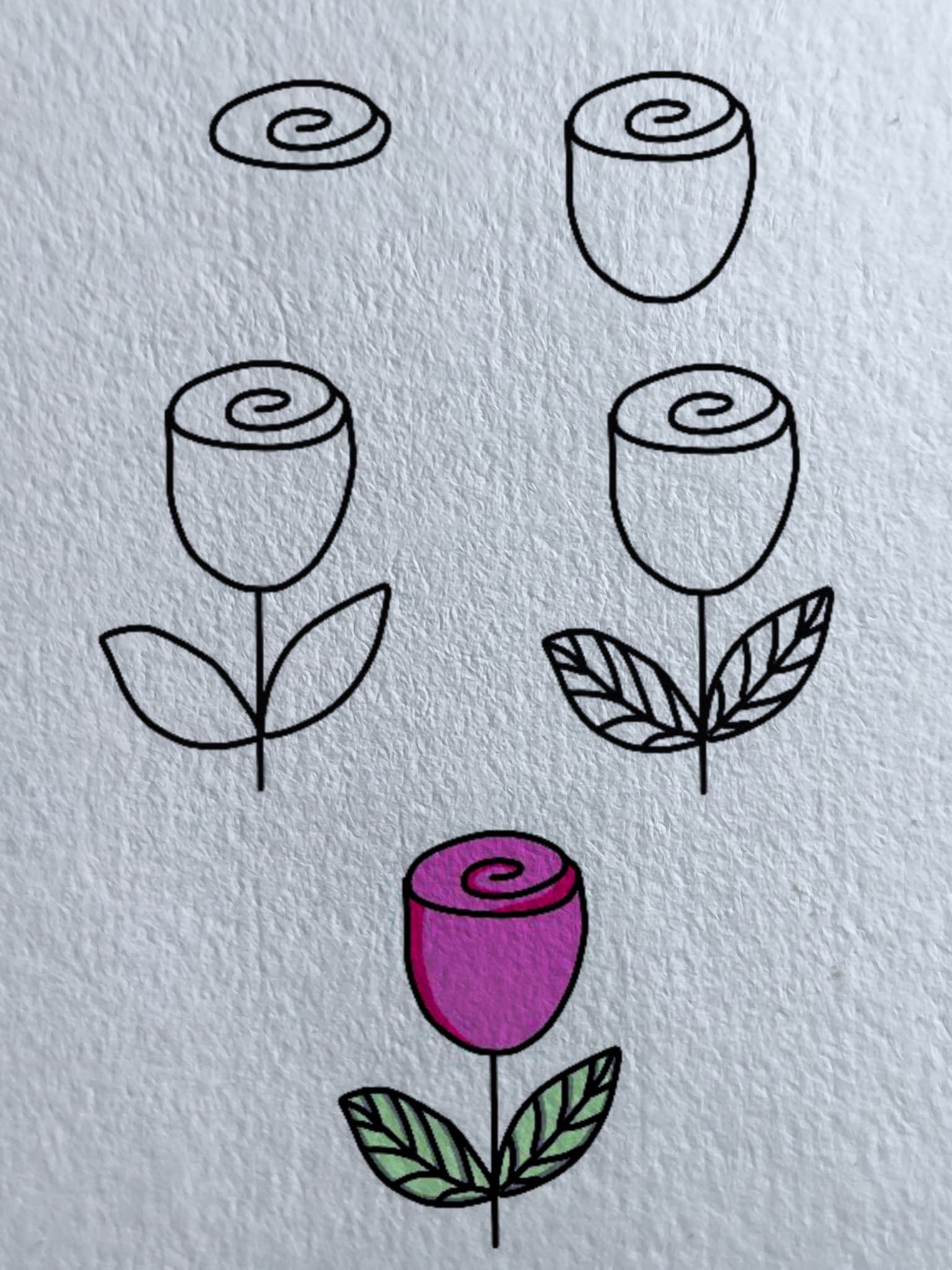 Desenhos de Maneira fácil de desenhar uma rosa