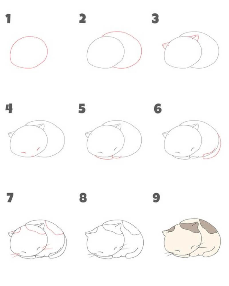 Desenhos de Um gato dormindo