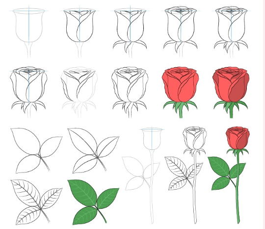 Desenhos de Um ramo de rosa