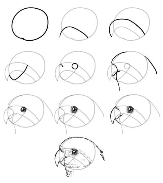 Desenhos de Cabeça de pássaro