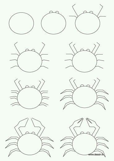 Desenhos de Caranguejo - ideia (14)