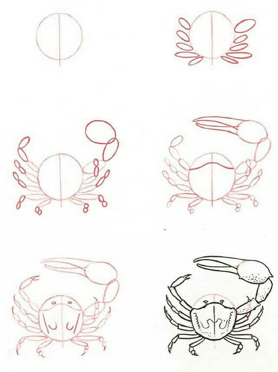 Desenhos de Caranguejo - ideia (25)