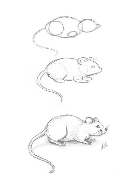 Desenhos de Esboço de rato