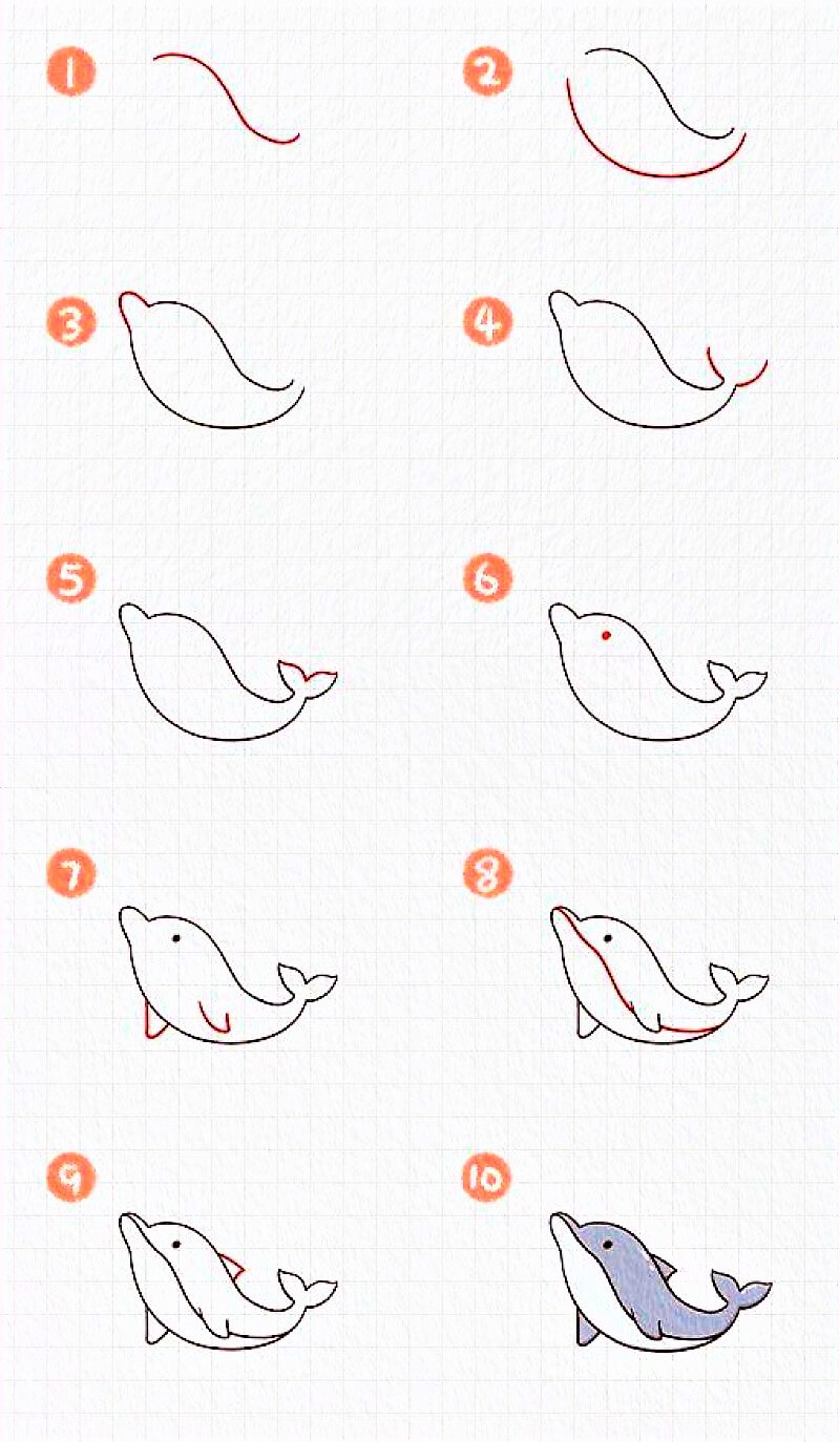 Desenhos de Golfinho Estampado