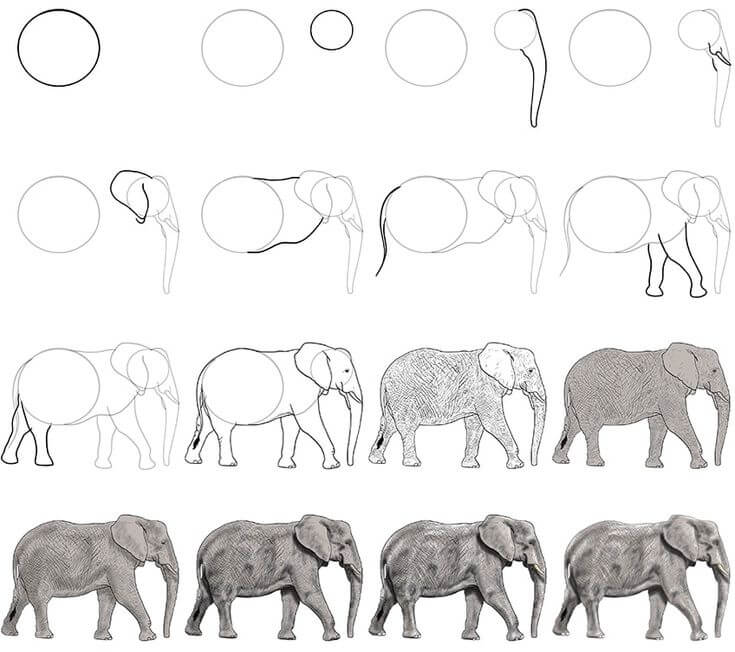 Desenhos de Ideia do elefante (38)