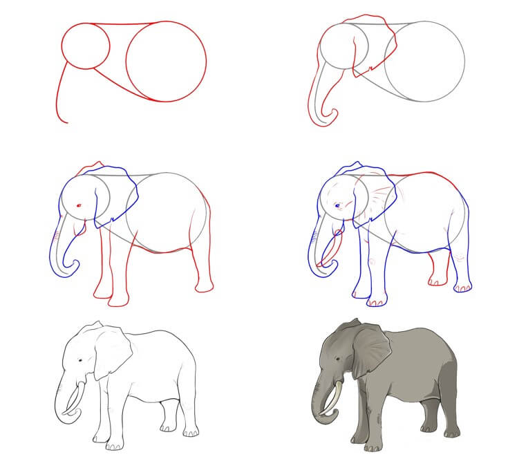 Desenhos de Ideia do elefante (66)