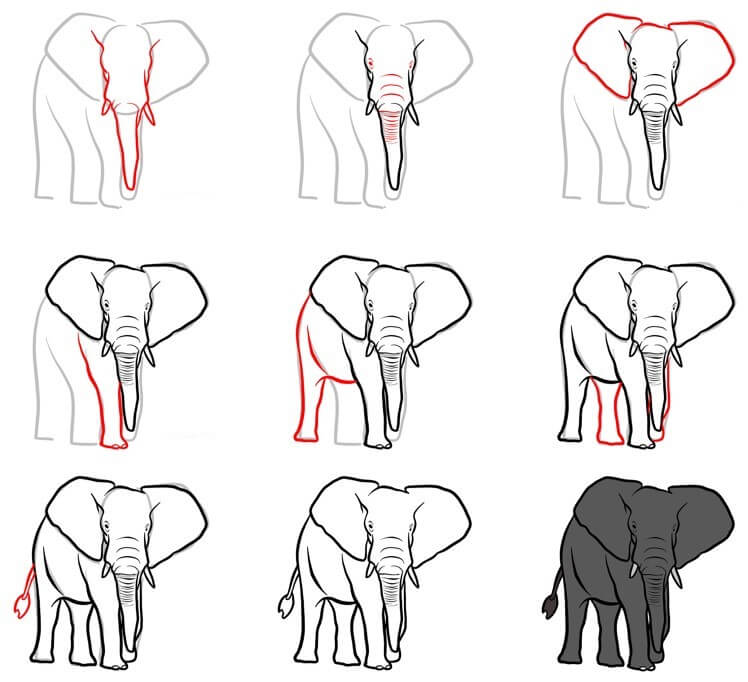 Desenhos de Elefantes