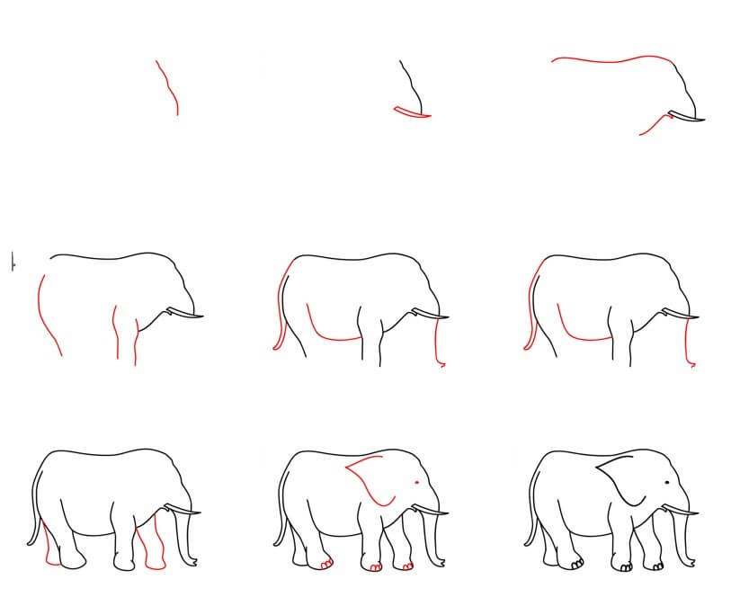 Desenhos de Ideia do elefante (71)