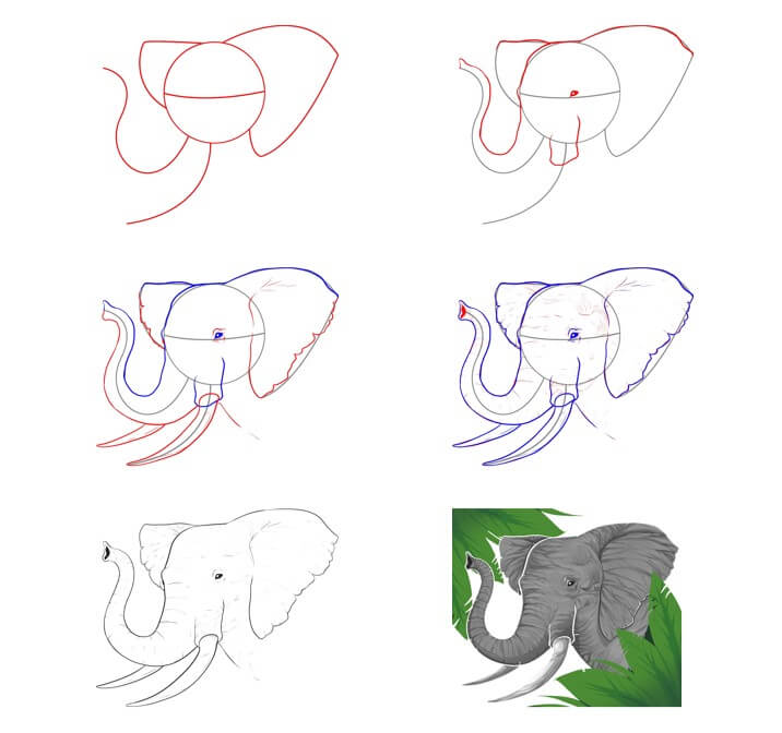 Desenhos de Ideia do elefante (75)