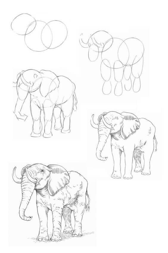 Desenhos de Ideia elefante (15)