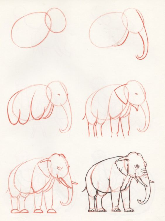 Desenhos de Ideia elefante (16)