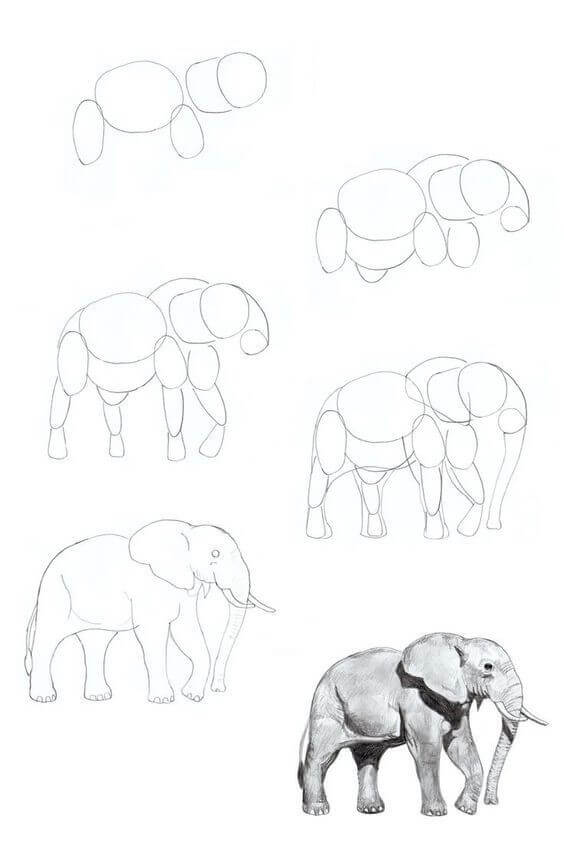 Desenhos de Ideia elefante (19)