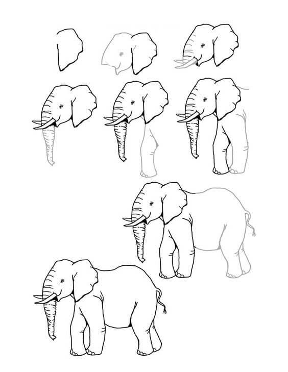 Desenhos de Ideia elefante (35)