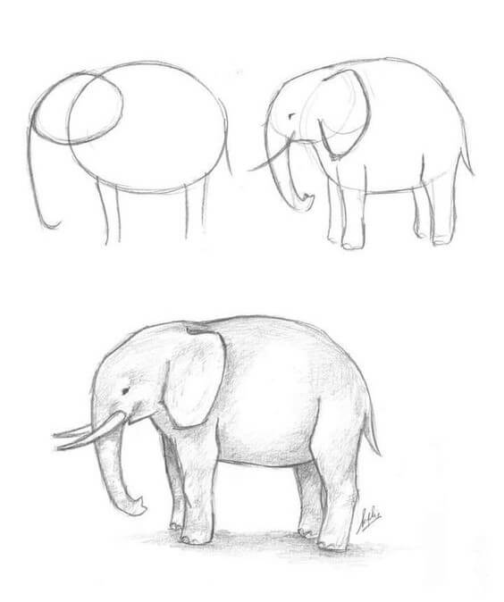 Desenhos de Ideia elefante (40)