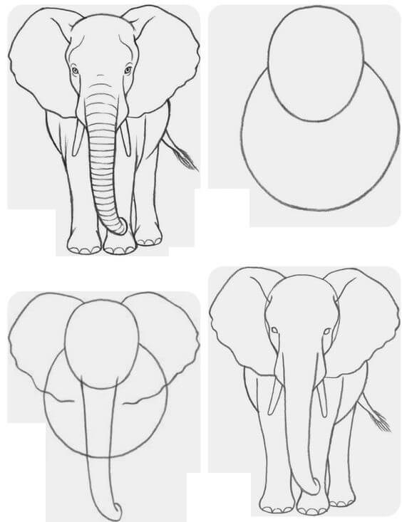 Desenhos de Ideia elefante (6)