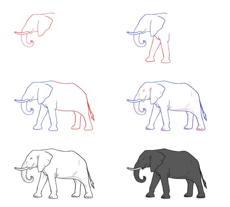 Desenhos de Ideia elefante (70)