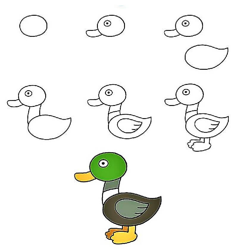 Desenhos de Pato – ideia 11