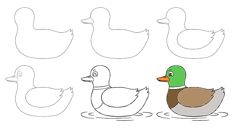 Desenhos de Pato - ideia 9