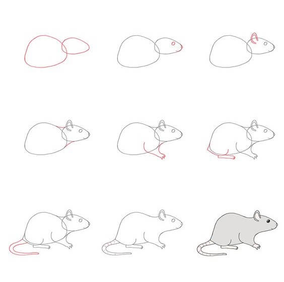 Desenhos de Rato inteligente