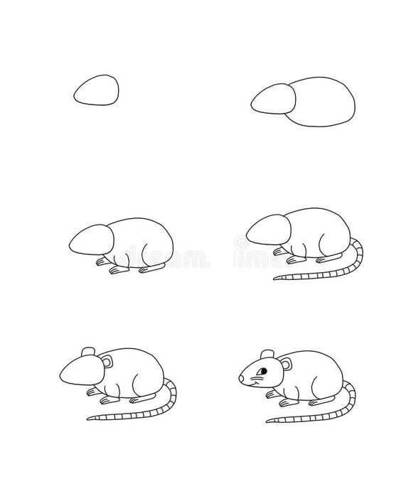 Desenhos de Rato normal