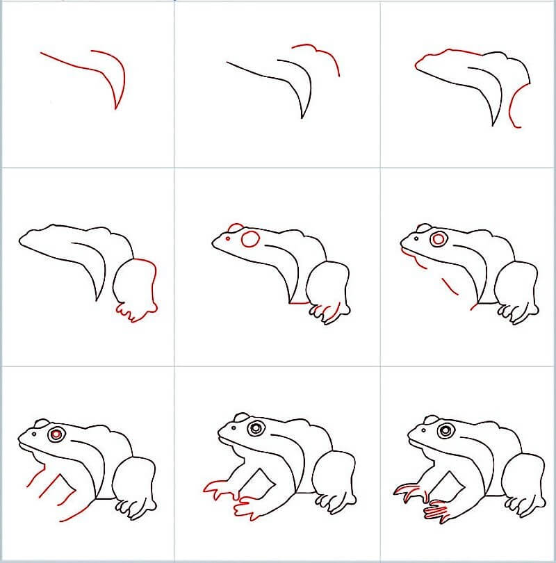 Desenhos de Sapo Grande