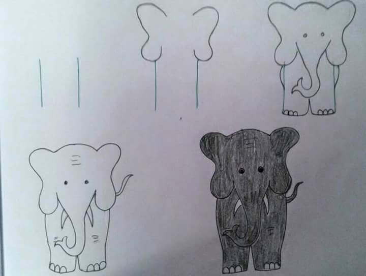 Desenhos de um elefante cinza