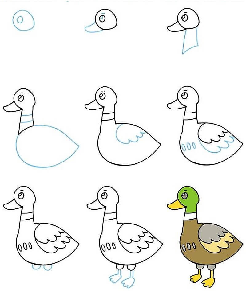 Desenhos de Um lindo pato