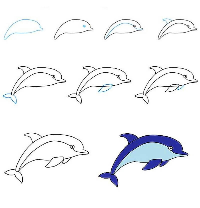 Desenhos de Um oceano de golfinhos