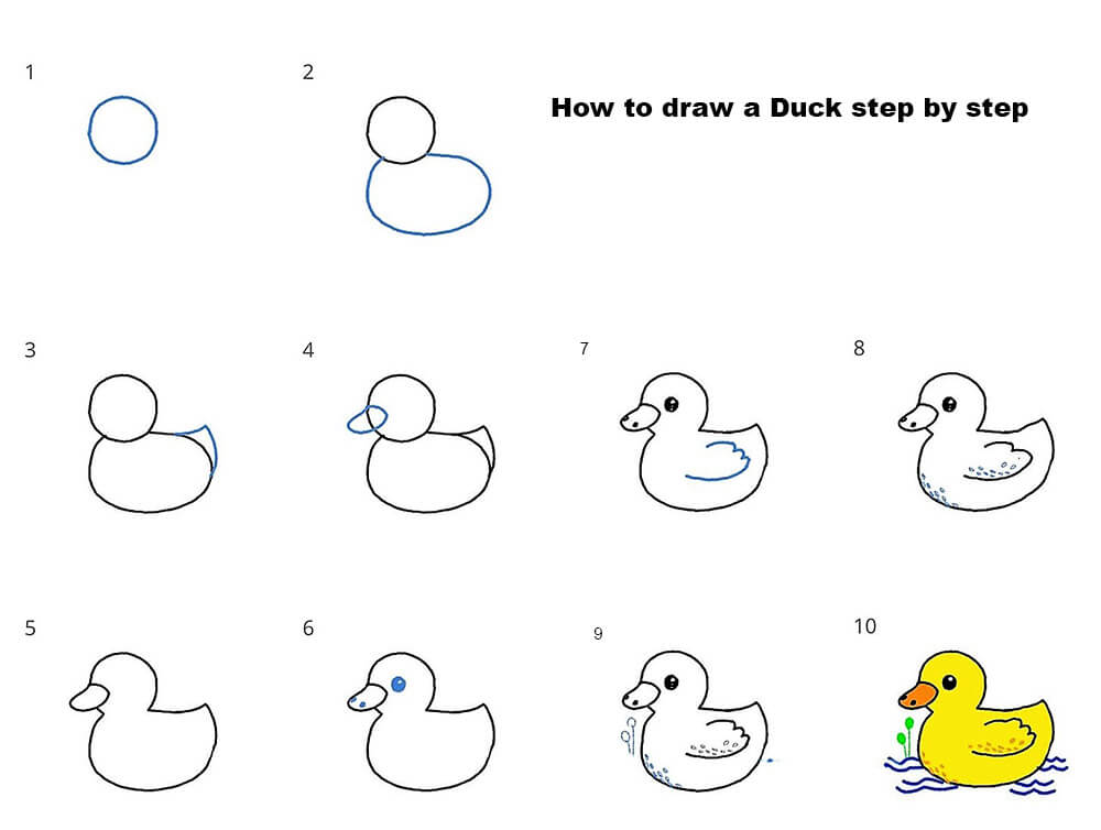 Desenhos de Um pato está nadando