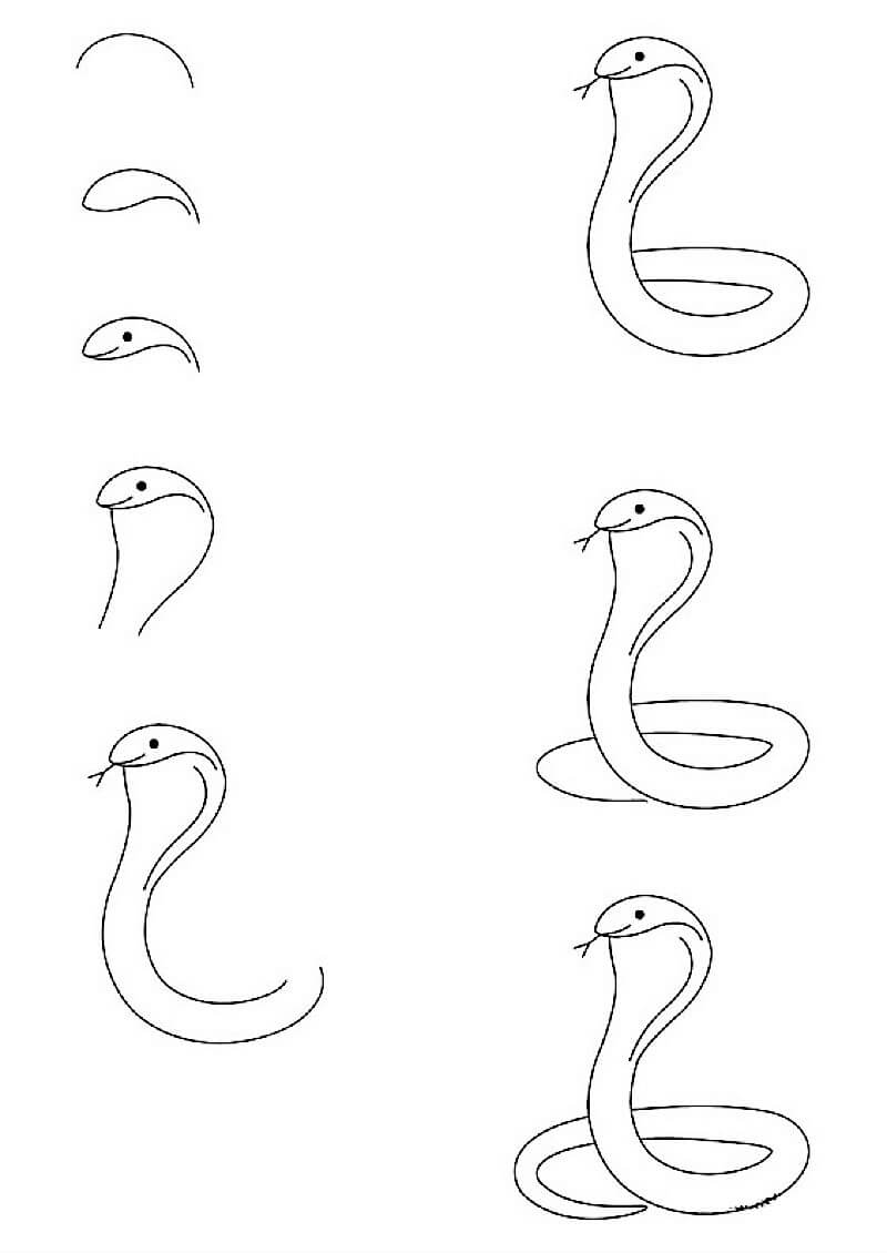 Desenhos de A Simple Cobra