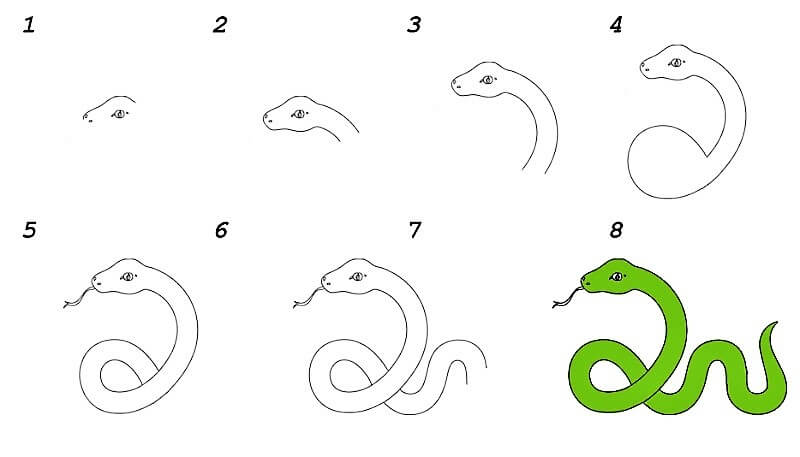 Desenhos de Uma ideia de cobra 16