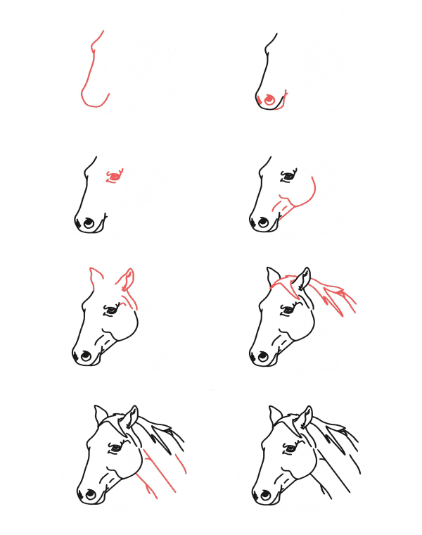 Desenhos de Cabeça de cavalo