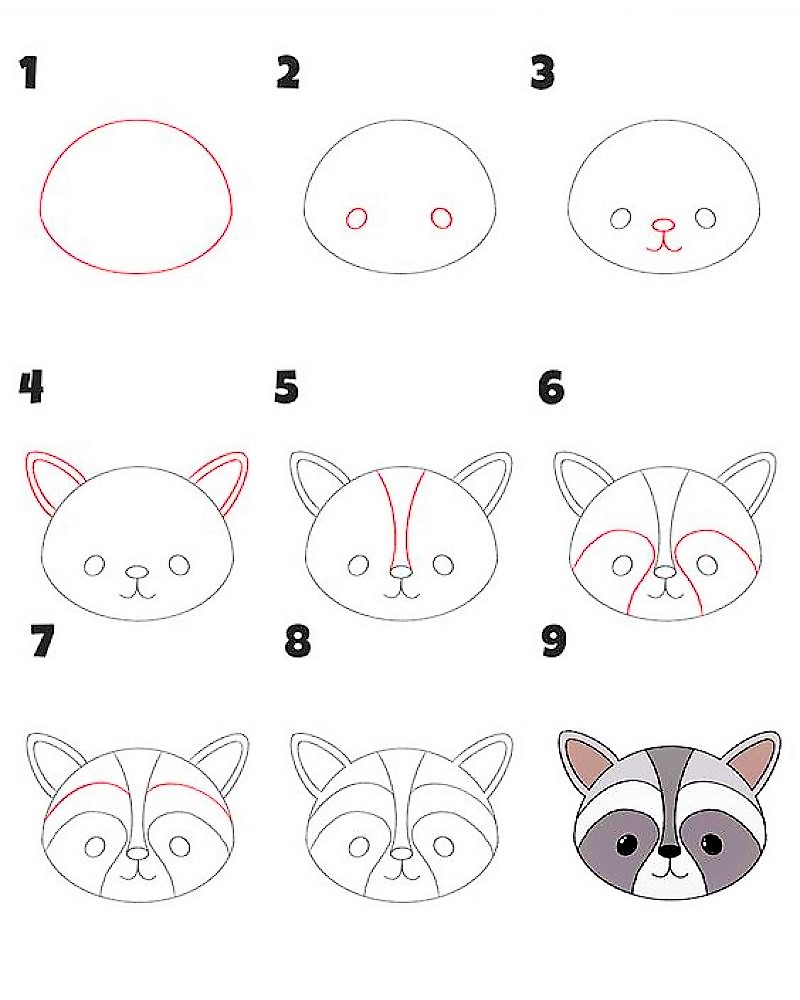 Desenhos de Cabeça de um guaxinim
