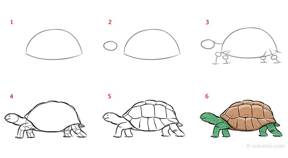 Desenhos de Caminhada da tartaruga