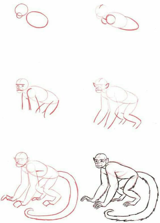 Desenhos de Cauda longa de macaco
