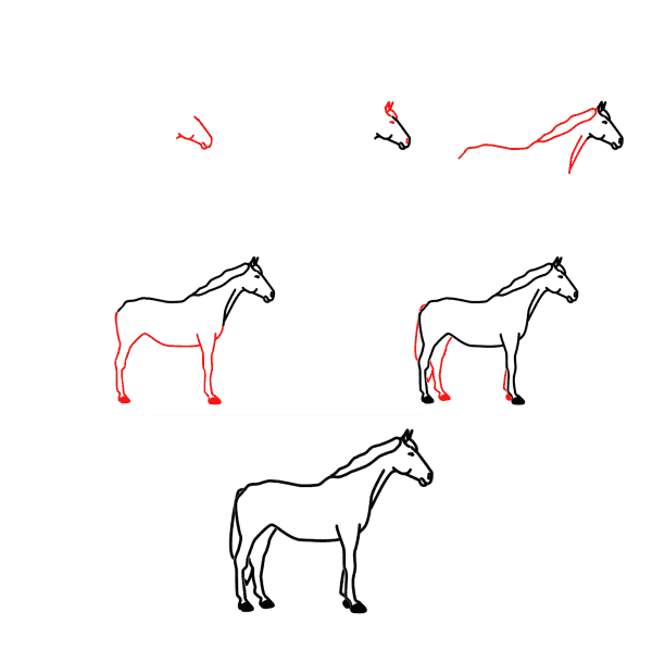 Desenhos de Cavalo