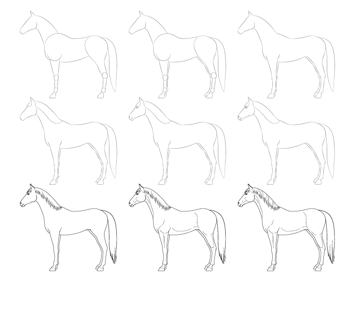 Desenhos de Desenho de cavalo