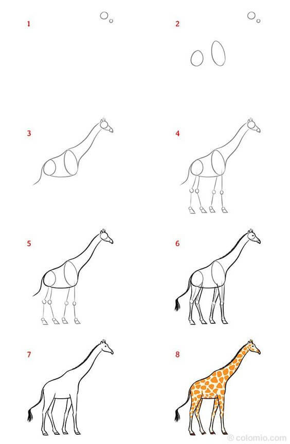 Desenhos de Detalhe da girafa