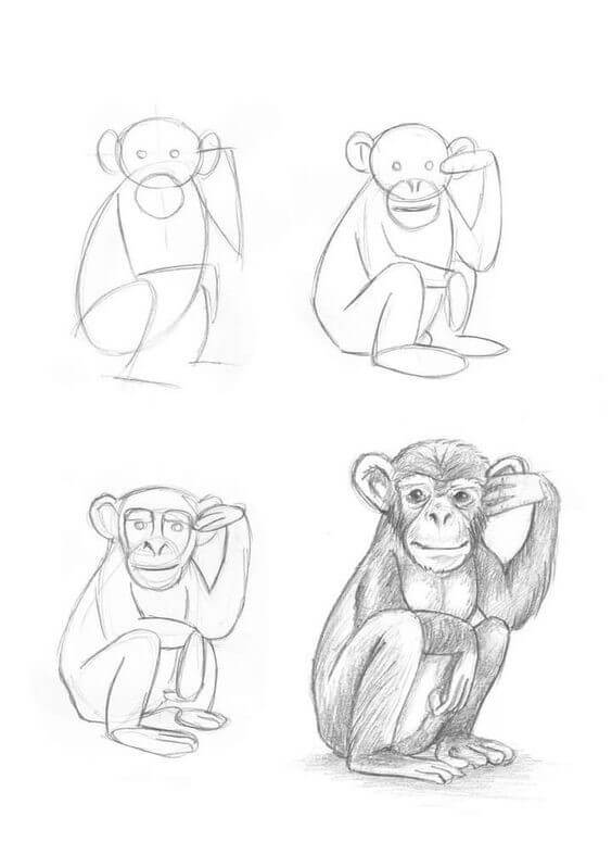Desenhos de Esboço de macaco