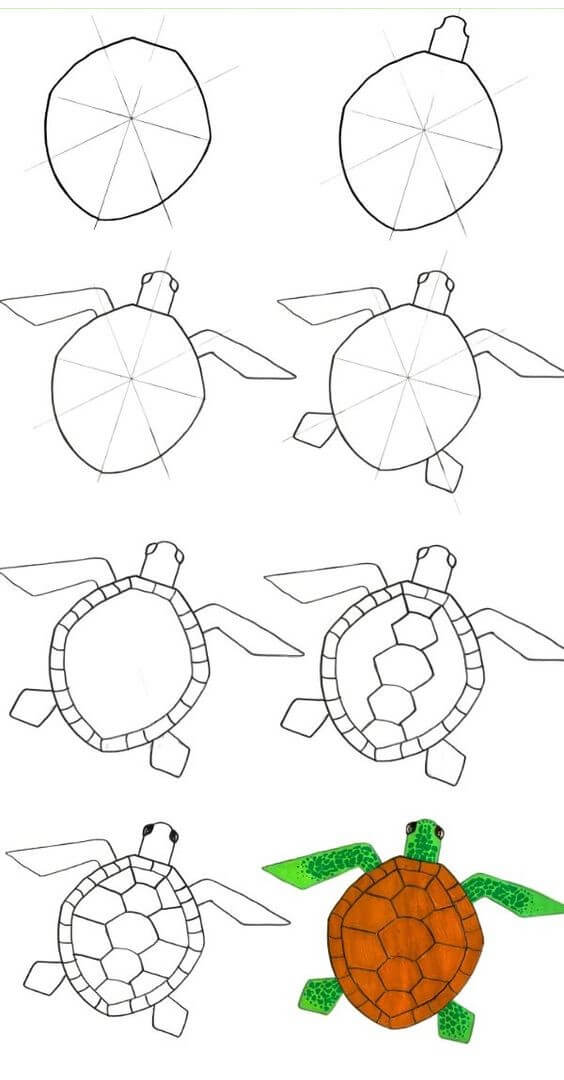 Desenhos de Geometria da tartaruga