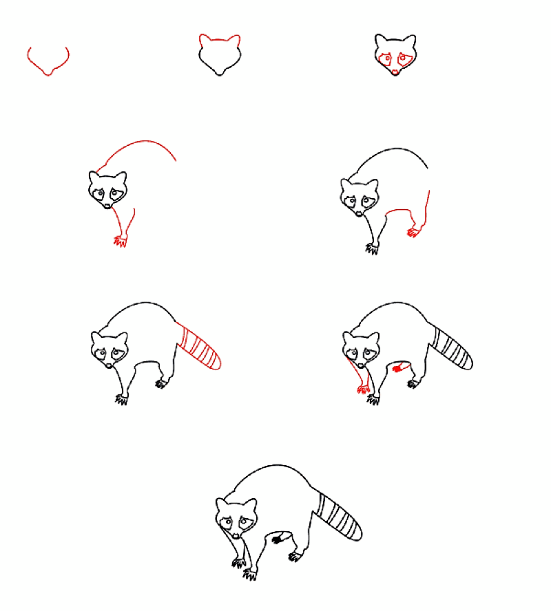 Desenhos de Guaxinim assustador