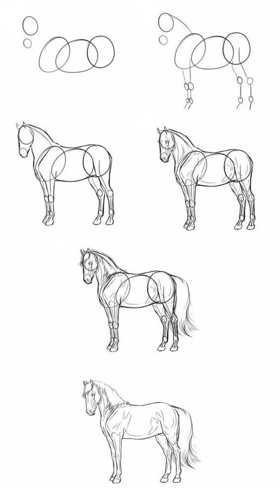 Desenhos de Ideia de cavalo (1)